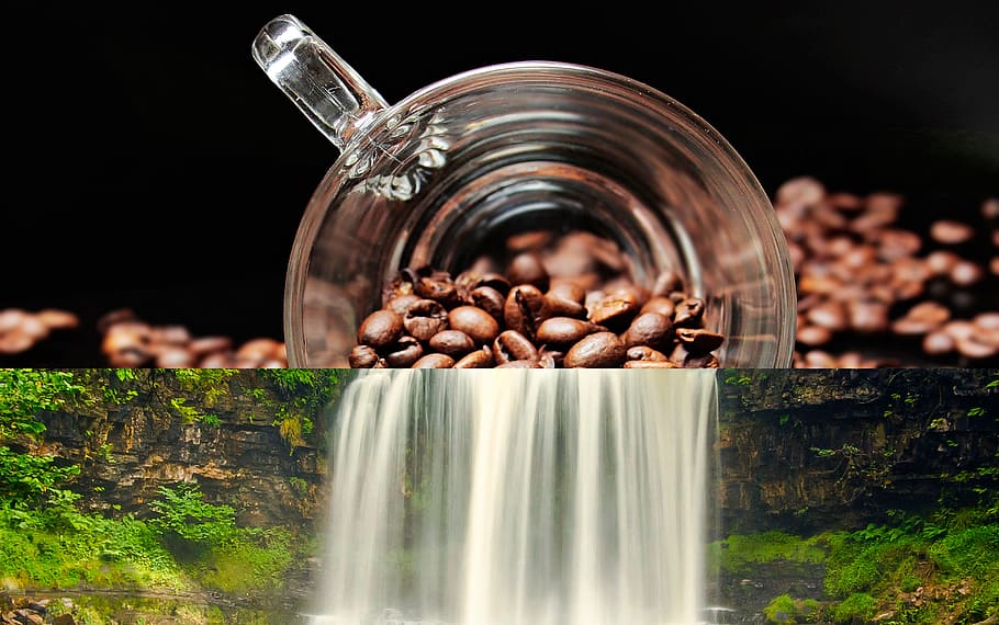 Coffee, Waterfall, River, summer, two in one, silence, 2 in one HD wallpaper