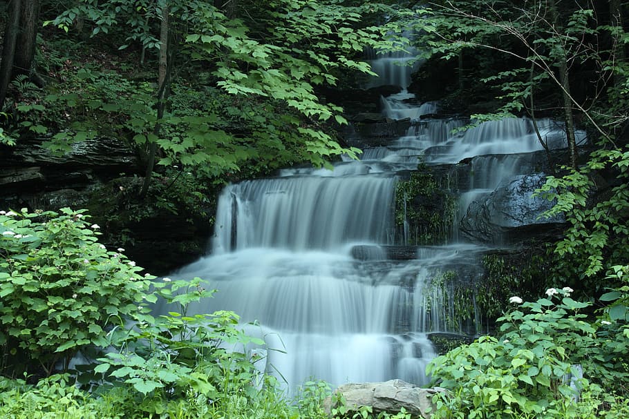 waterfalls near green trees at daytime, scenic, outdoors, river HD wallpaper
