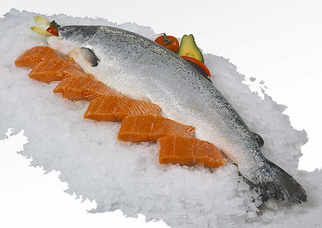 salmon, fillet, fresh, food, seafood, ice, freshness, fish HD wallpaper