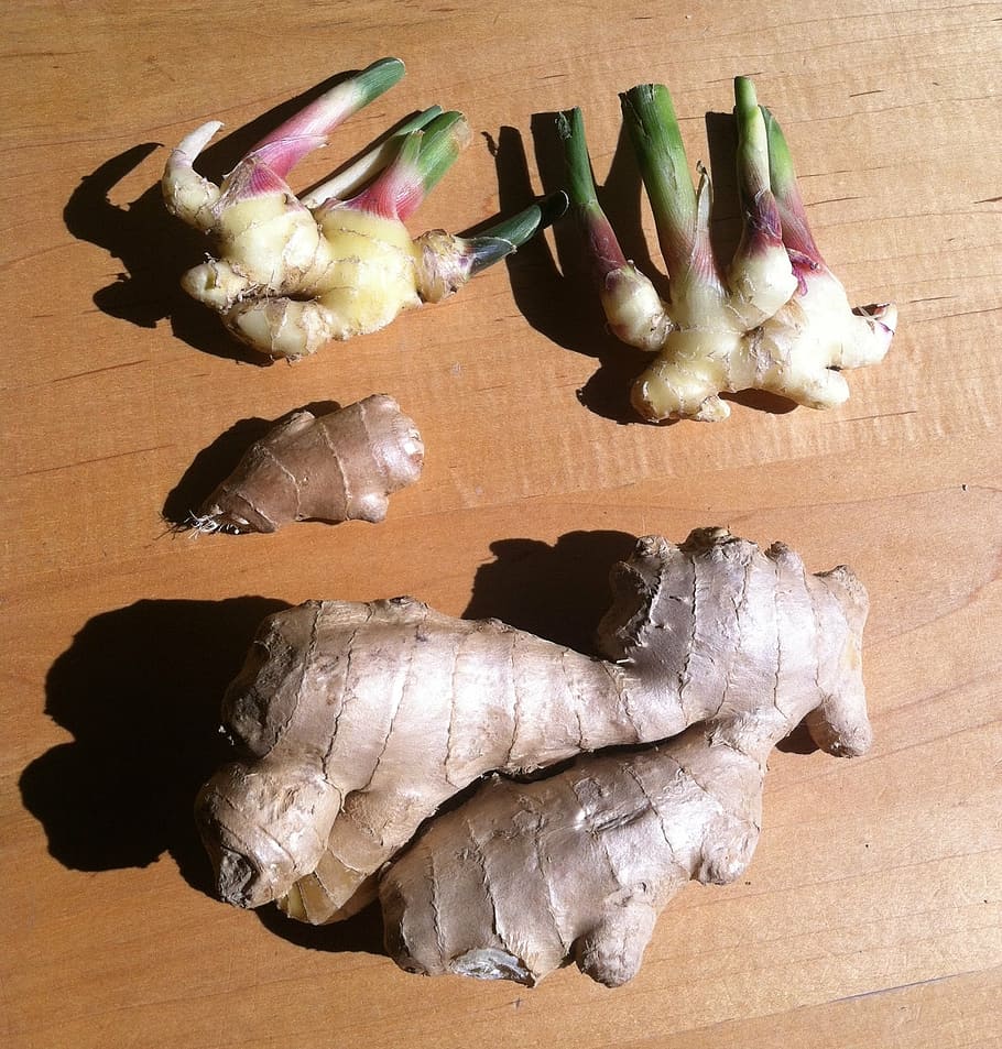 ginger, zingiber, root, asian, spice, cooking, spicy, organic HD wallpaper