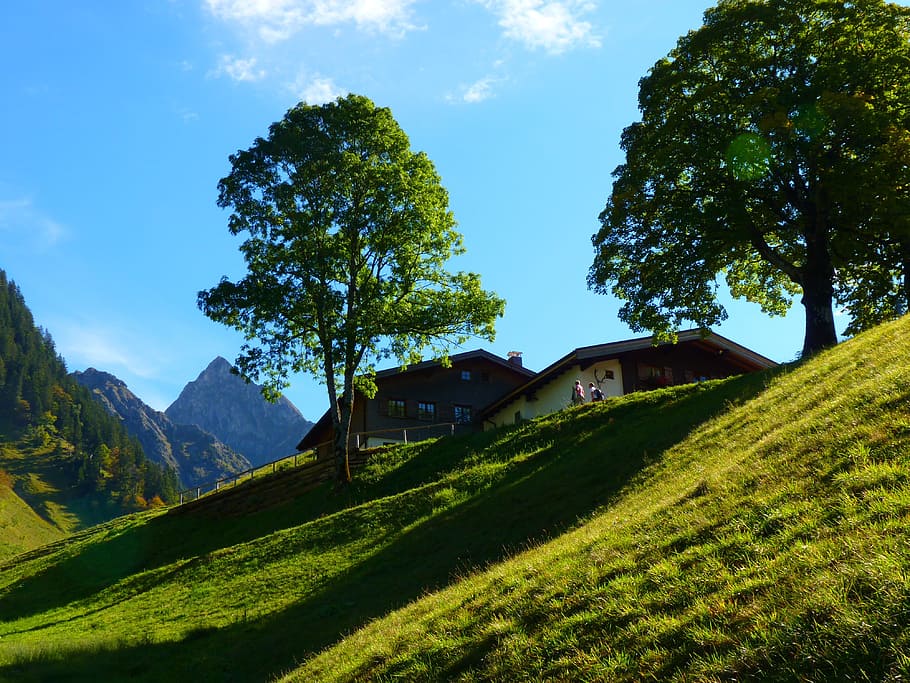 Landscape, Mountains, Trees, Nature, house, rural scene, farmhouse HD wallpaper