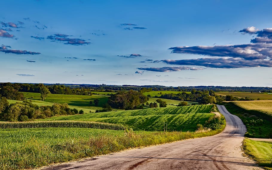 green field near road at daytime, wisconsin, landscape, scenic, HD wallpaper