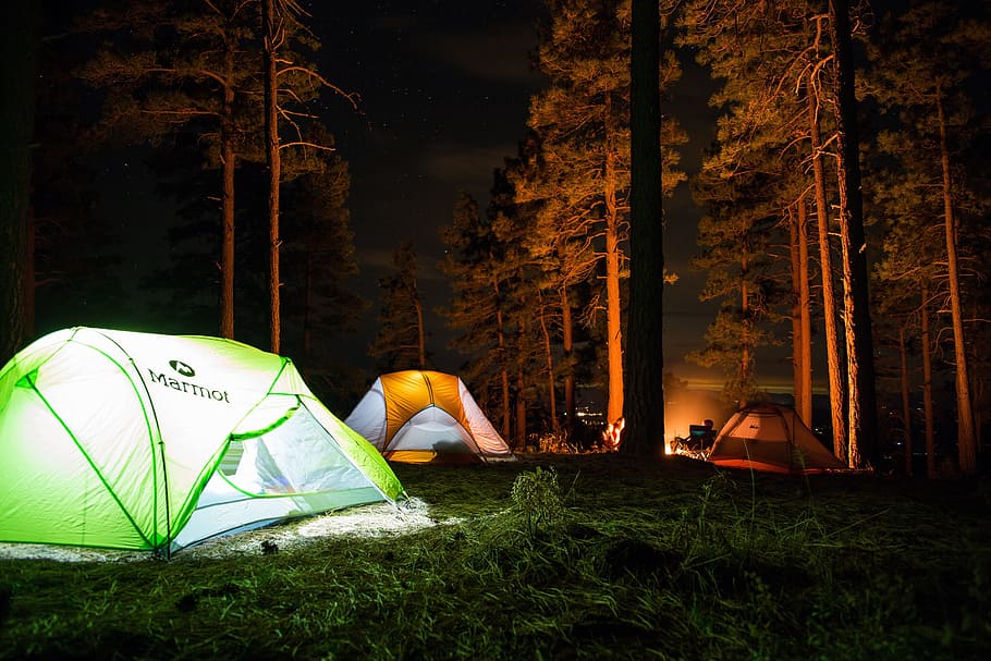 three green and orange tents surrounded by trees at nighttime