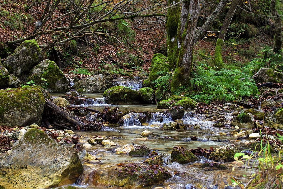 Stream, Clear, Water, Source, clear water, the abruzzo national park HD wallpaper