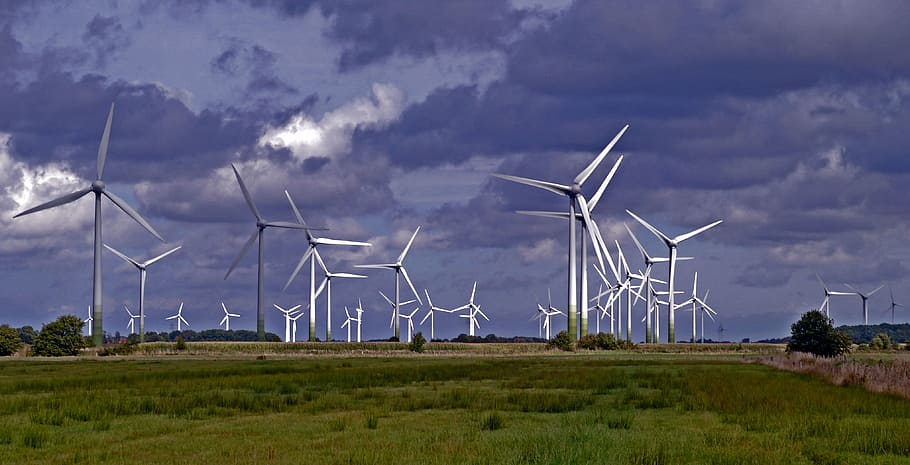 field of wind turbine, wind park, wind power plants, windräder, HD wallpaper