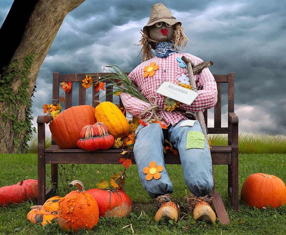 pumpkin, woman of straw, doll, deco, autumn, garden decoration, HD wallpaper