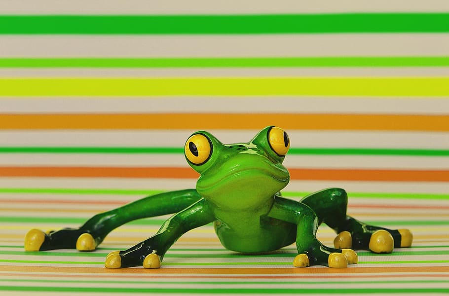 frog, funny, figure, cute, animal, green, sweet, frog eyes HD wallpaper