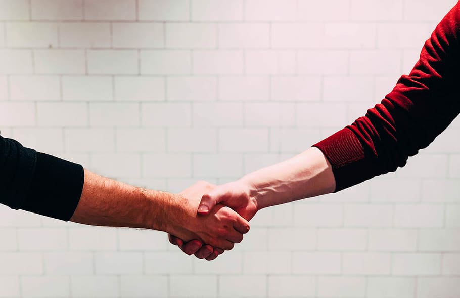 two person shaking hands near white painted wall, two persons shaking hands HD wallpaper