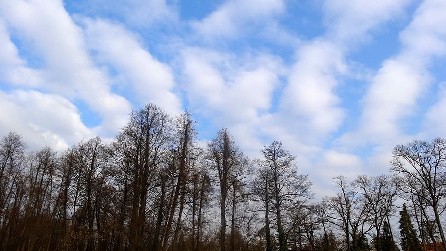 Cloud, Clouds, Blue Sky, Colors, autumn, sunshine, nature, tranquility HD wallpaper