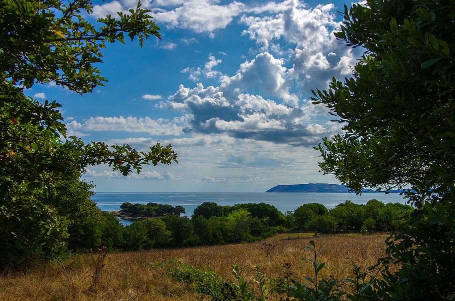landscape, marine, cloud, nature, trees, flowers, akliman, sinop HD wallpaper