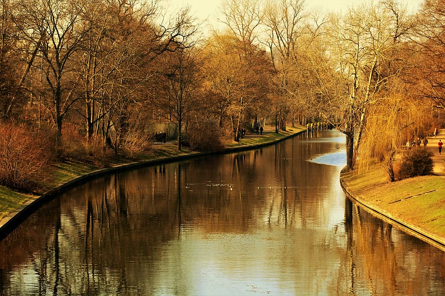 park, river, landscape, water, tree, plant, reflection, waterfront HD wallpaper