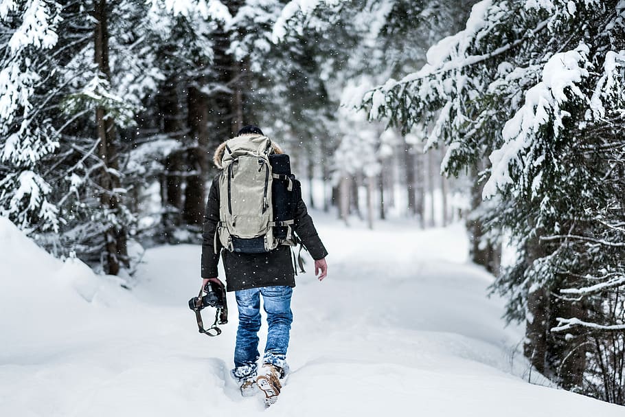 man walking on snow near pine trees covered by snow during daytime, person walking on snow covered road HD wallpaper