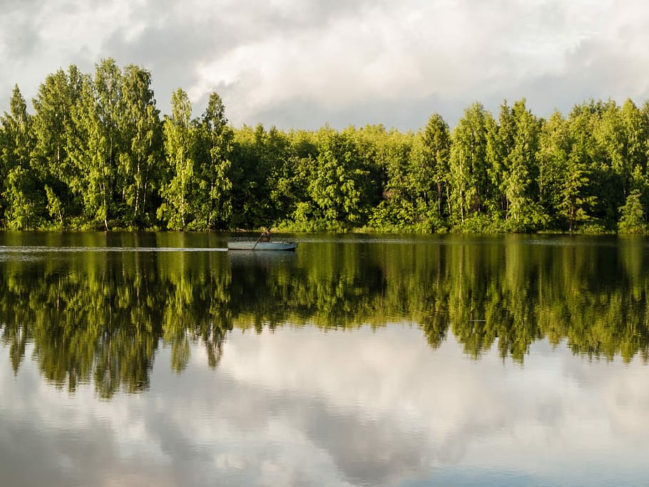 green leafed trees near body of water, Fisherman, Boat, River HD wallpaper