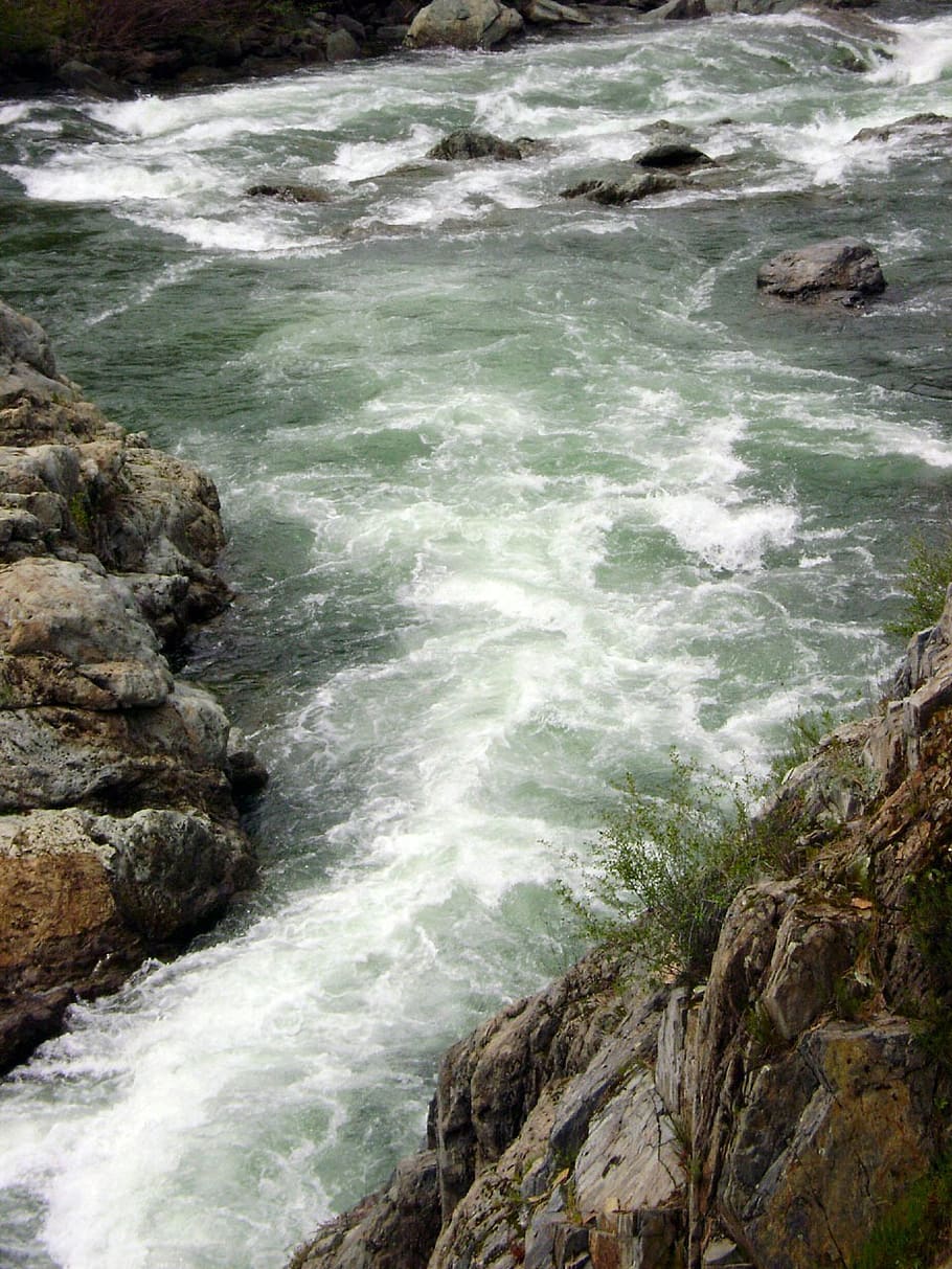 stream, river, flowing, flows, narrow, path, rocks, stones HD wallpaper