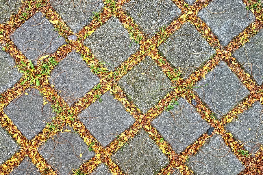 pavement, tile, stone, pattern, leaves, sidewalk, paving, urban HD wallpaper