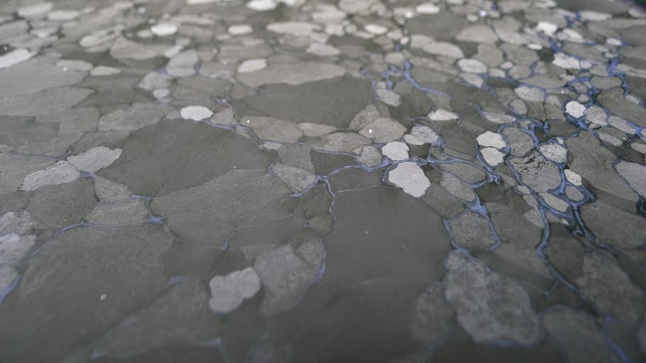 grey, gray, abstract, texture, background, surface, water, wet HD wallpaper