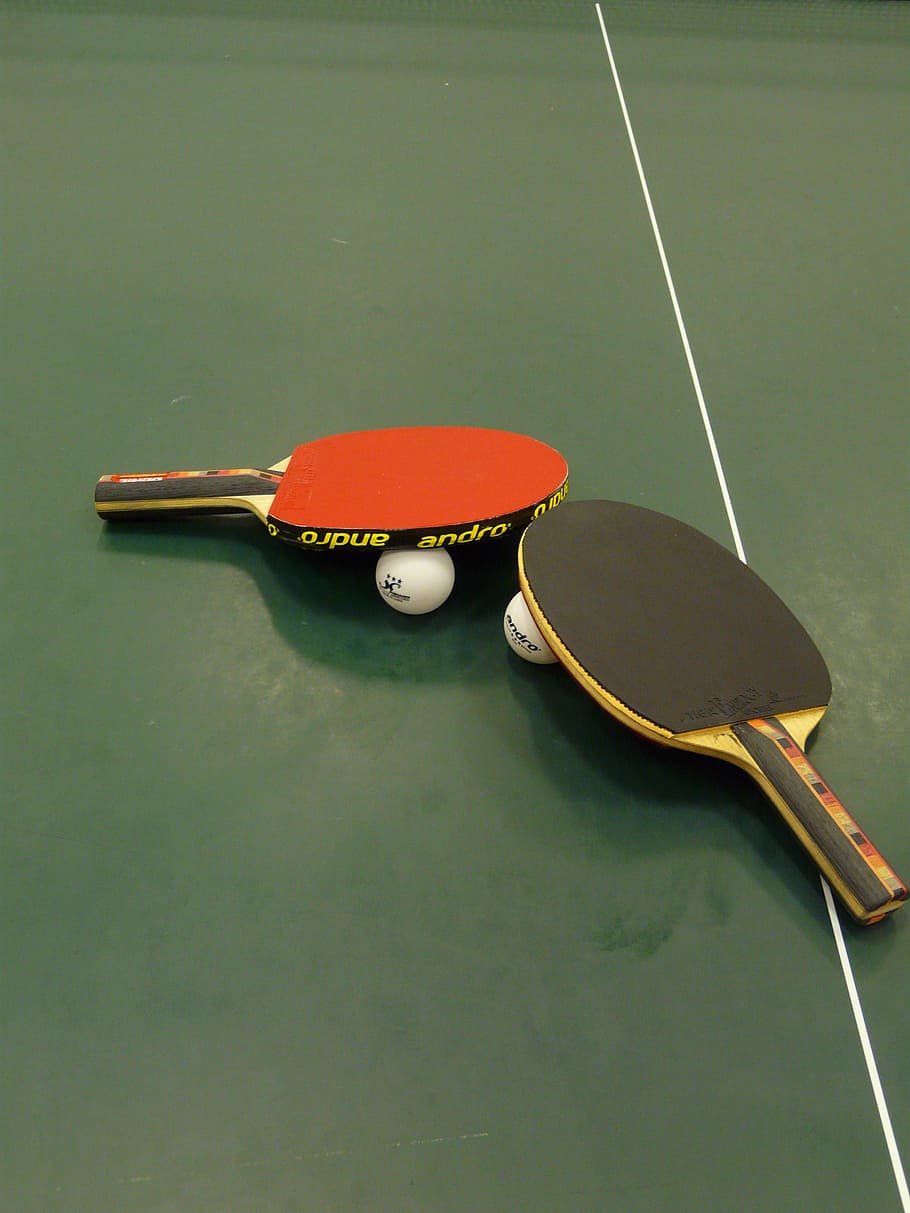 table tennis, ping-pong, bat, table tennis bat, sport, play, HD wallpaper