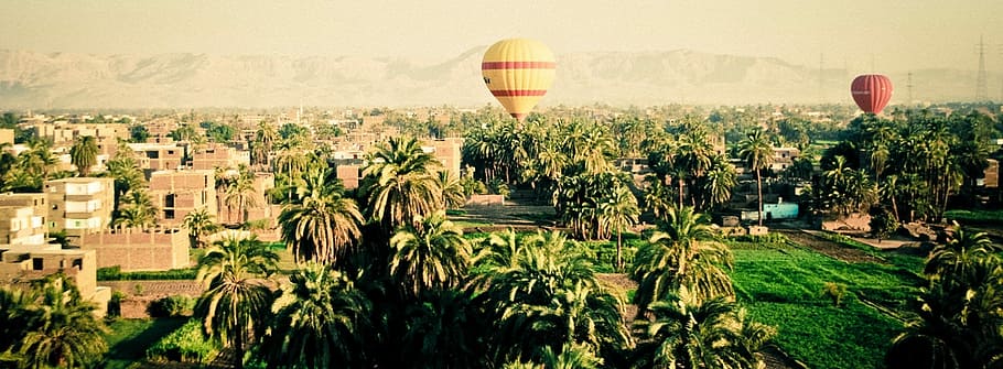 yellow and red hot air balloons during daytime, flying hot air balloons near village