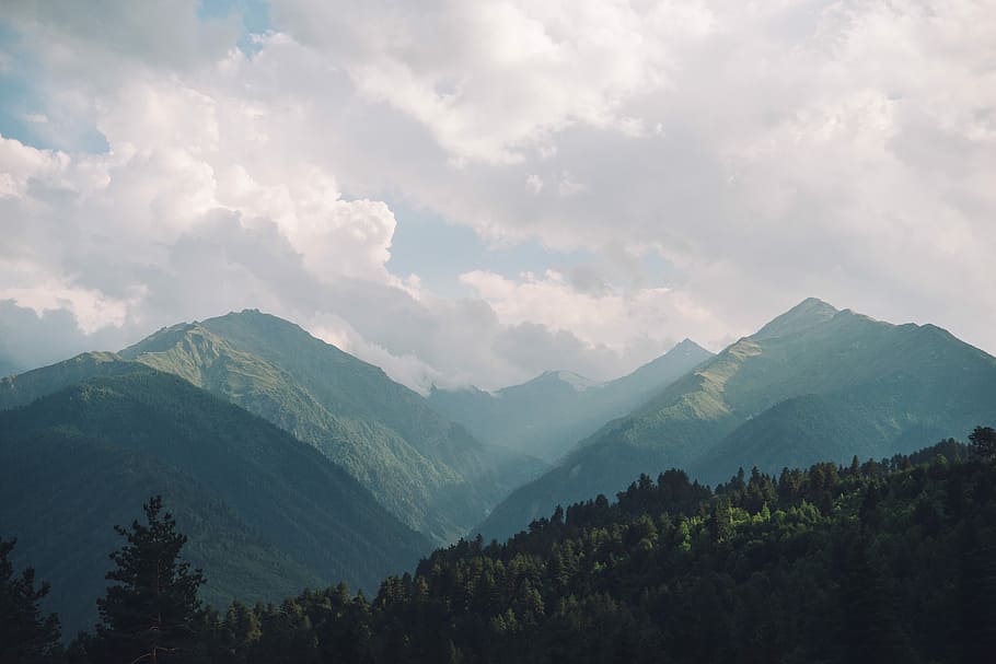 forest near mountain during daytime, mountain in mist, cloud HD wallpaper