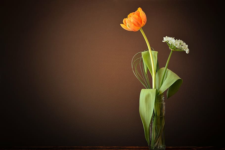 orange tulip flower in clear glass vase, white, leek flower, blossom