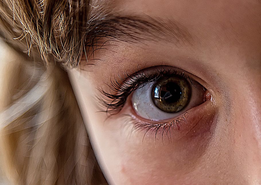 human right eye, focus, pupil, iris, person, eyelashes, sharpness HD wallpaper