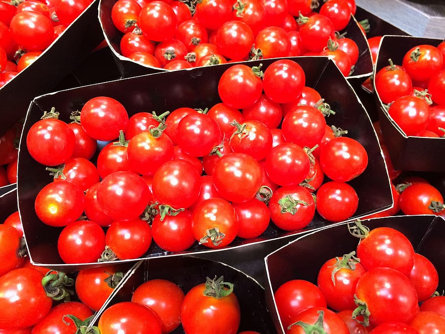 mini tomato, orange, red, dish, vivid, vegetables, department HD wallpaper