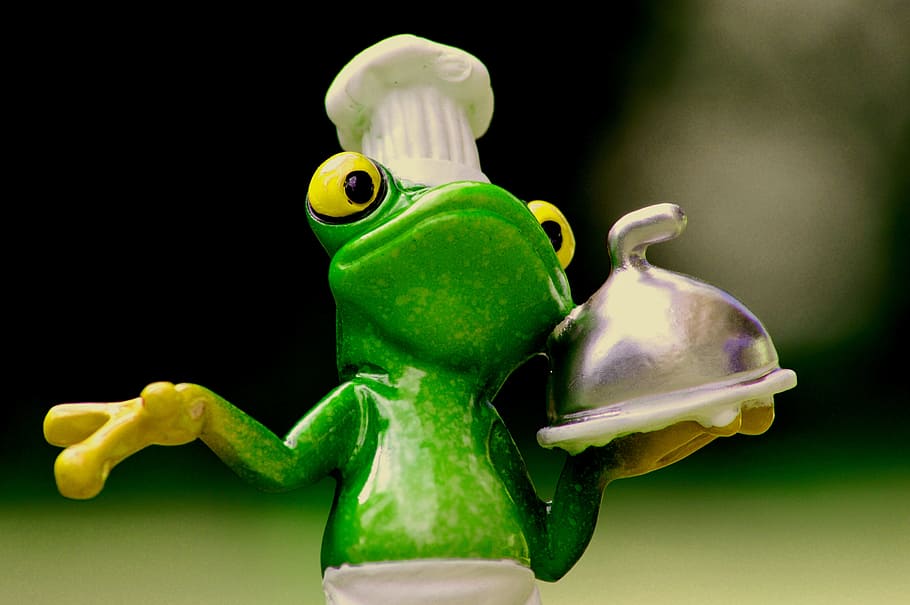 frog, cooking, eat, kitchen, gourmet, food, preparation, funny HD wallpaper