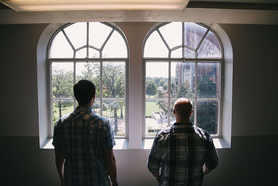 windows, looking, people, guys, men, rear view, indoors, real people HD wallpaper
