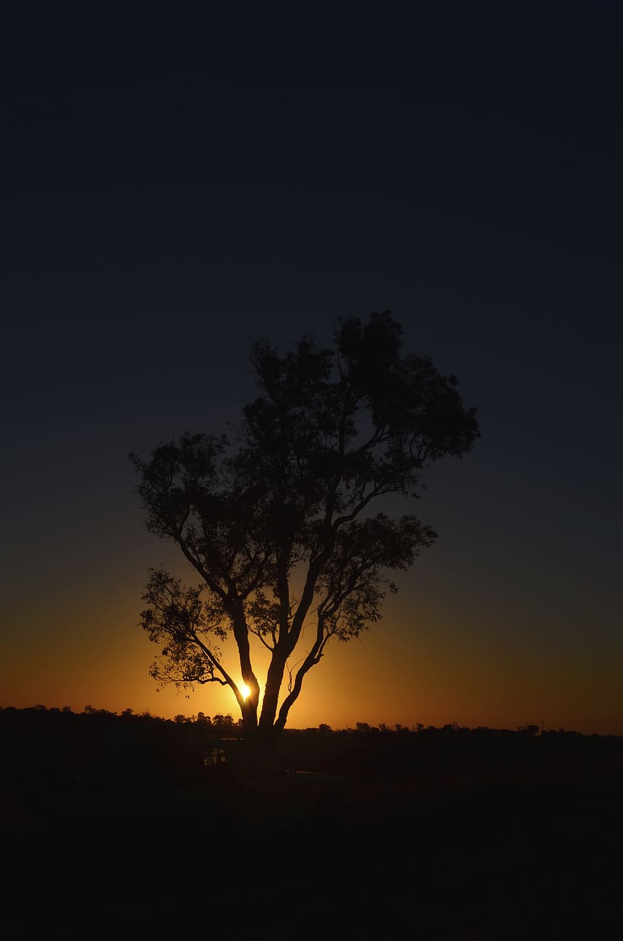 Tree, Sunset, Silhouette, Sun, Farm, night, landscape, lone HD wallpaper