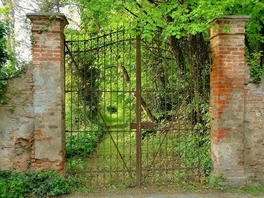 brown metal gate closed leading to forest, entrance, viale, garden