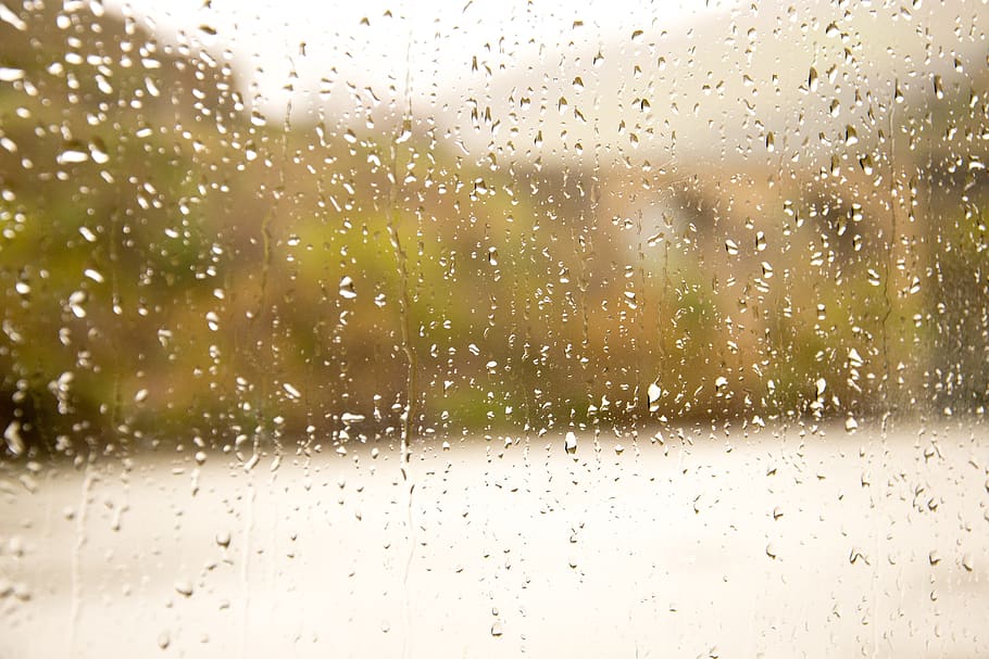 rain, glass, drops, wet, water, glass - material, transparent HD wallpaper