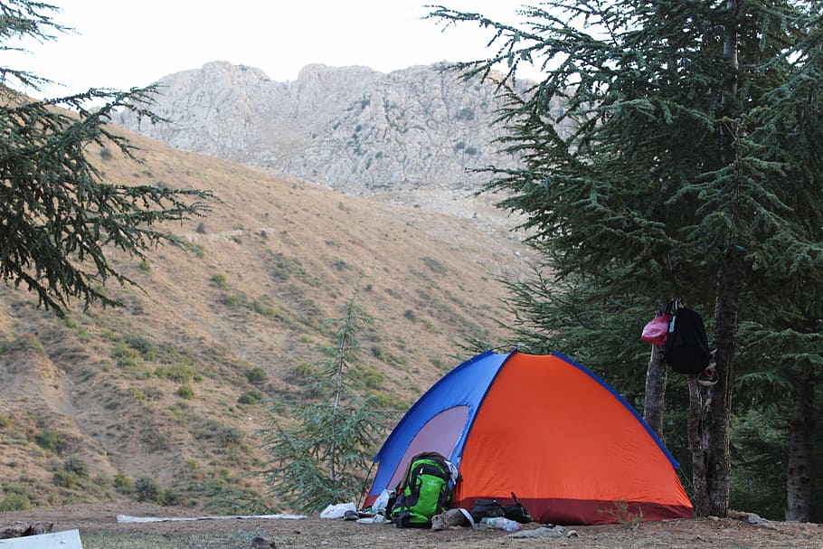 camping, forest, algeria, mountain, tent, tree, plant, beauty in nature HD wallpaper