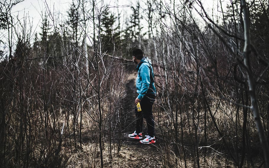 man in blue jacket and black pants in woods, man standing surrounding tress HD wallpaper