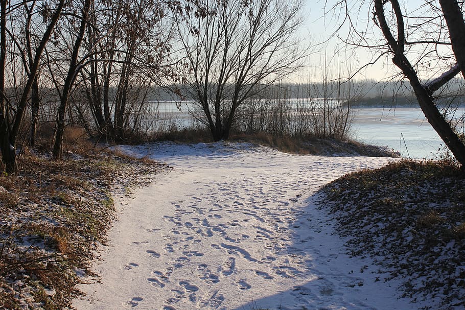 path, snow, tracks, winter, nature, frost, landscape, walk HD wallpaper