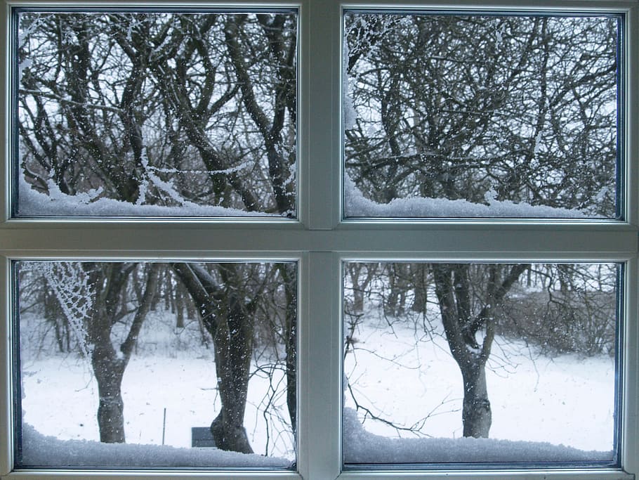 window, lattice windows, frost, winter, snow, tree, cold temperature