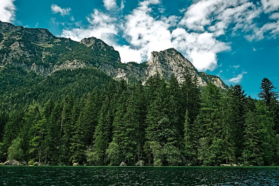 Trees and Forest with Rocks and Mountains with Clouds and Sky in Washington HD wallpaper