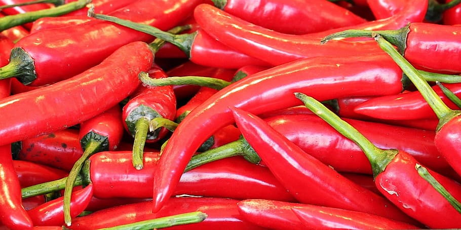 closeup photo of red chilis, Market, Sharp, Red, Food, Spices HD wallpaper