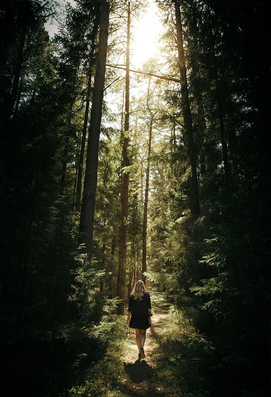 woman walking in the forest, woman walking in jungle during daytime HD wallpaper