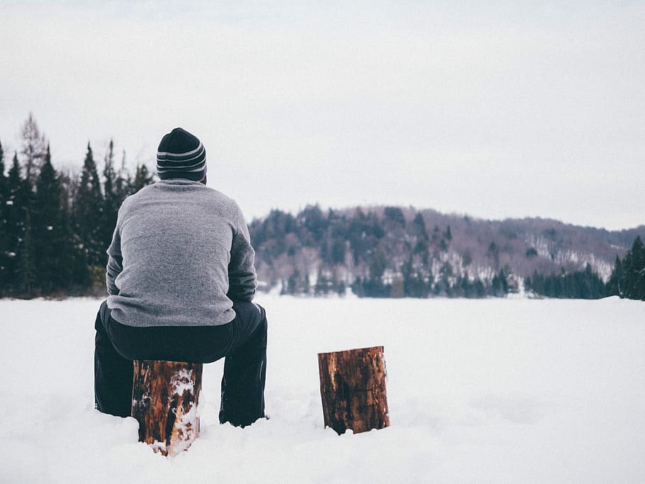 man wearing gray sweater sitting on log during winter, person sitting on log near trees HD wallpaper