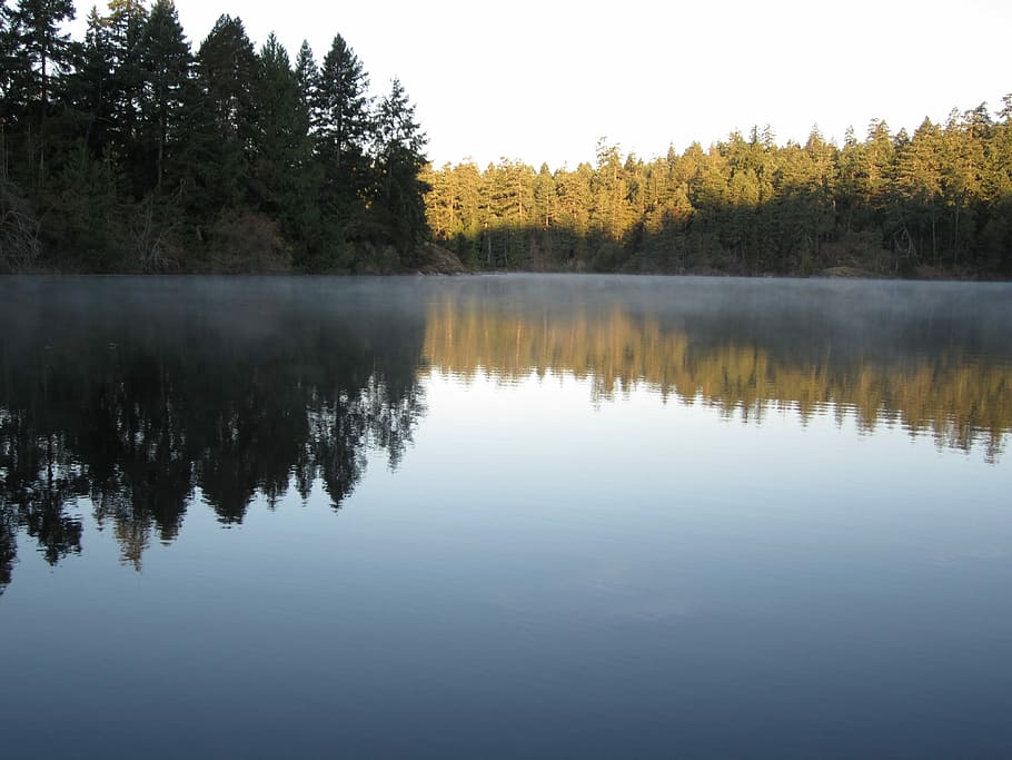 Lake, Misty, Reflection, Water, Smooth, victoria, british columbia HD wallpaper