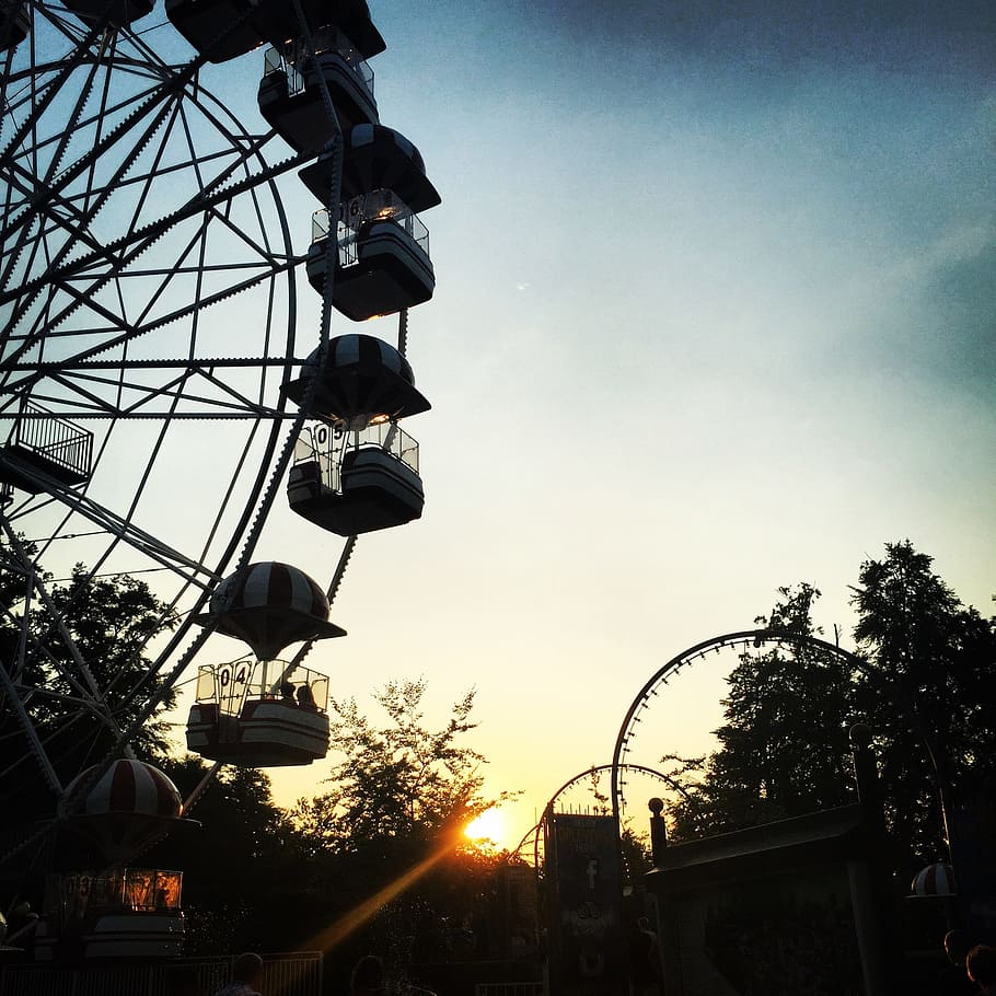 sky, sunset, sunlight, tree, plant, dark, silhouette, wheel HD wallpaper