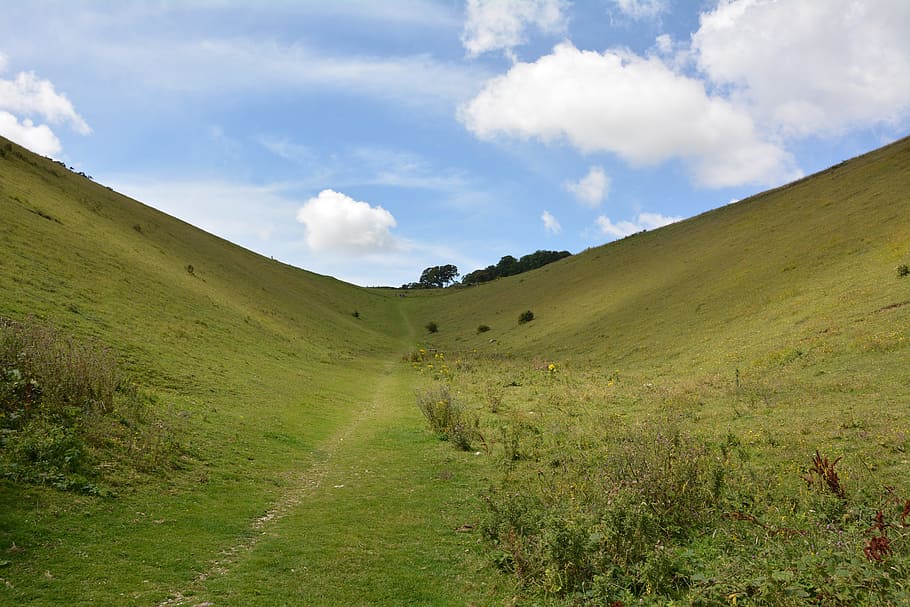 landscape, grass, meadow, sky, nature reserve, summer, mountain meadows HD wallpaper