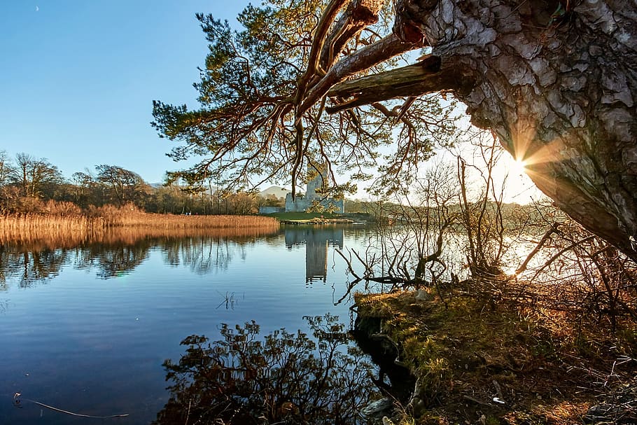 castle, ross, killarney, sunset, water, tree, reflection, lake HD wallpaper