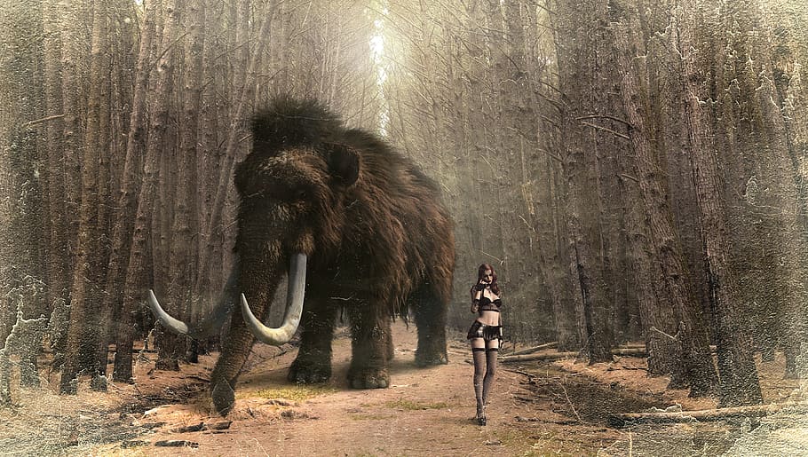 brown and black mammoth game screenshot, fantasy, woman, forest