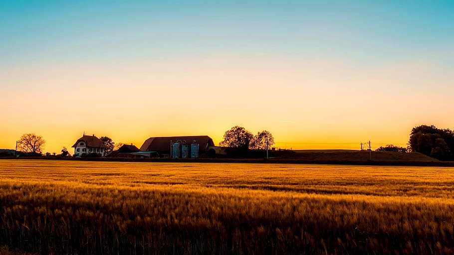 houses on grass field during sunset, dusk, farm, barn, crop HD wallpaper