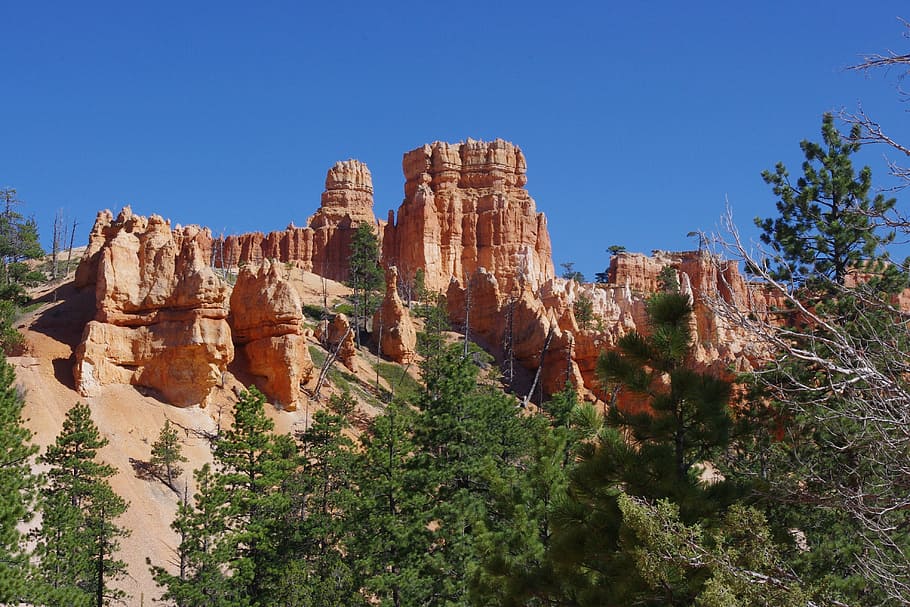 bryce, canyon, rock, formation, cliff, national, park, scenic HD wallpaper