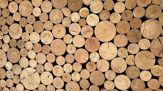 round brown logs, material, wood, casing, surface, wallpaper HD wallpaper