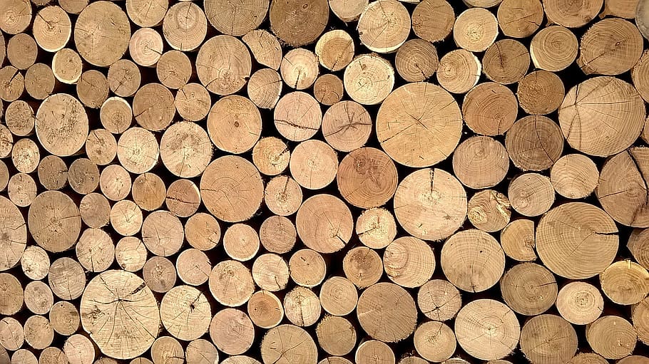 round brown logs, material, wood, casing, surface, wallpaper HD wallpaper