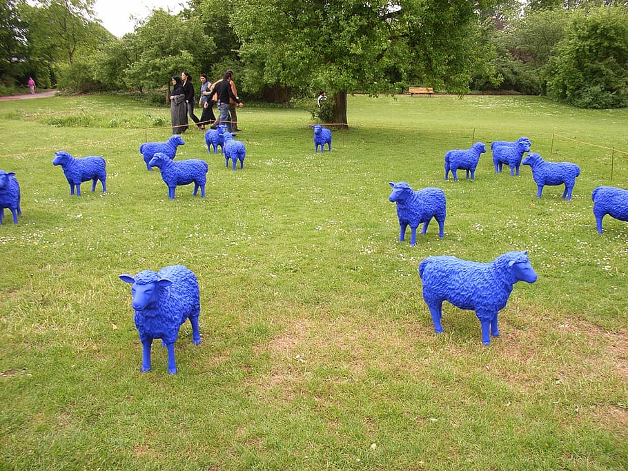 sheep, blue, blue sheep, artificial, field, lamb, pasture, statues HD wallpaper