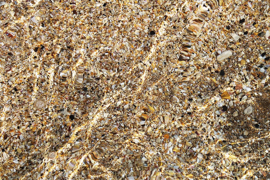 background, water, coquina, full frame, backgrounds, no people HD wallpaper